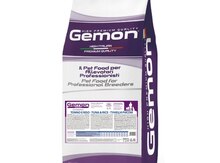 Gemon dog
