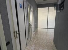 Ofis icarəyə verilir, Cəlil Məmmədquluzadə küç. 85z.