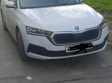 Skoda Octavia, 2024 il
