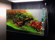 Akvarium 70l