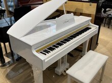 Elektron royal "Avanti"
