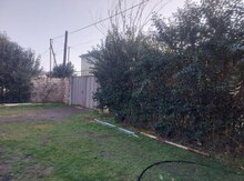 Həyət evi, Masallı r.