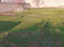 7 sot torpaq sahəsi, Maştağa qəs.