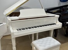 Akustik royal "Hailun"