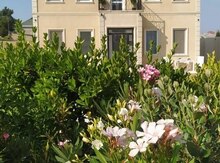 Villa kirayə verilir, Mərdəkan qəs.