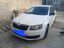 Skoda Octavia, 2013 il