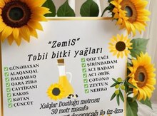 Günəbaxan tumunun cecəsi