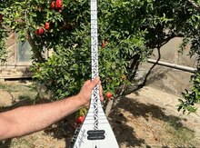 Saz 