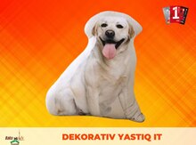 Dekorativ yastıqlar