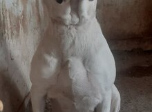 Argentina doqu