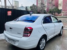 "Toyota Prius" icarəsi
