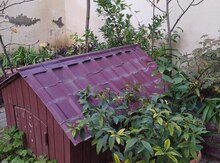 Дом для собаки