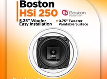 Dinamik "Boston HSİ 250"
