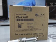 "Hyundai, Kia" alışma şamı