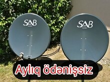Peyk antena