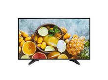 Monitor "DS-D5043QE"