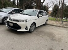 "Toyota Prius" icarəsi