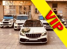 Toy avtomobillərinin icarəsi