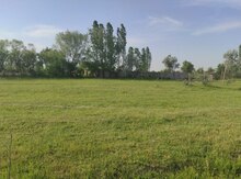 20 sot torpaq sahəsi, Xaçmaz r.
