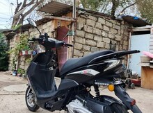 Moped icarəsi