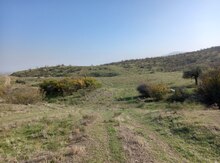 140 sot torpaq sahəsi, Siyəzən r. 