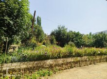 Bağ evi kirayə verilir, Lerik r. 