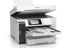 Printer "Epson EcoTank M15180"