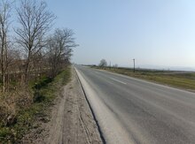5000 sot torpaq sahəsi, Şabran r.