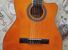 Akustik gitara