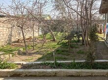 Həyət evi, Ramana qəs.
