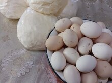 Kənd məhsulları 