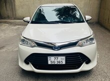 Toyota Corolla, 2016 il