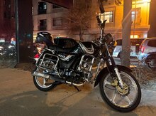 Freedom mx49, 2024 il