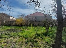 10 sot torpaq sahəsi, Saray qəs.