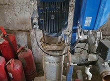 Nej çənlər 