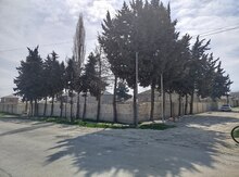 9 sot torpaq sahəsi, Şabran r.