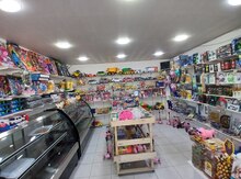 Hazır biznes (Mağaza)