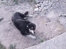 Kanqal