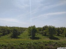 270 sot torpaq sahəsi, Göyçay r.