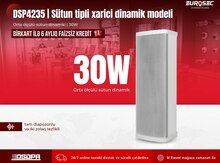 Sütun tipli xarici dinamik modeli "DSPPA 4235 | 30W"