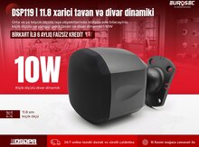 Xarici tavan və divar dinamiki "DSPPA 119 | 10W"