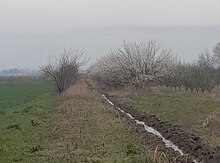 52 sot torpaq sahəsi, Şabran r.