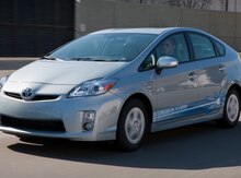 "Toyota Prius" icarəsi