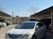 Hyundai Sonata, 2010 il
