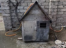 Göyərçin yuvası 
