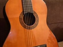 Gitara