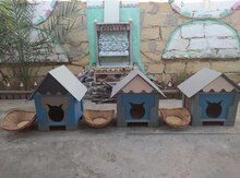 Pişik yuvaları