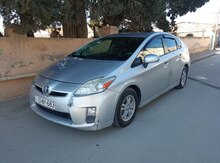 Toyota Prius, 2010 il
