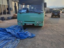 Avtobus İsuzu, 2008 il
