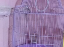 Qəfəslər